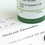 license for medical cannabis